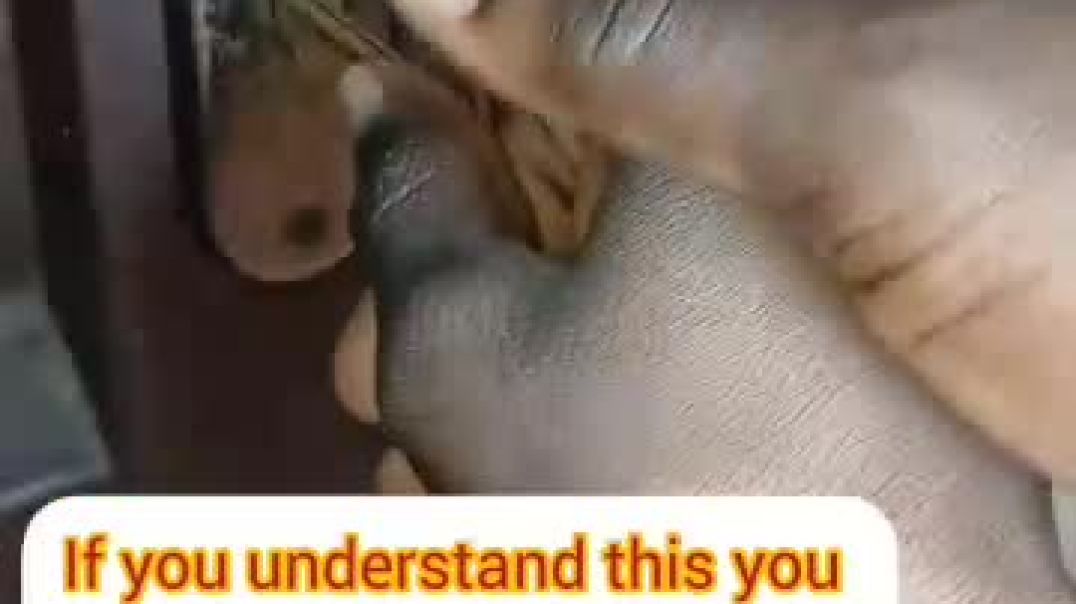 VID-20250915-WA0000
