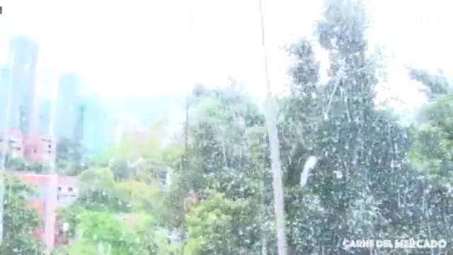 ⁣CARNEDELMERCADO - (Indira Uma, Alex Moreno) - Brunette Ebony Latina Colombiana Has Her Perfect Big A