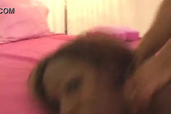 Hot ebony bitch rides white cock then jizzed - XVIDEOS.COM